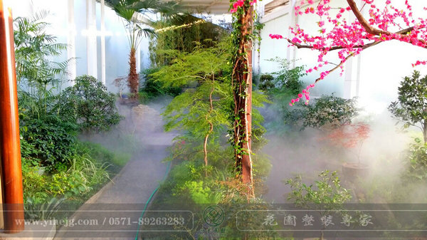 這樣的室內(nèi)庭院,簡直讓我尖叫!